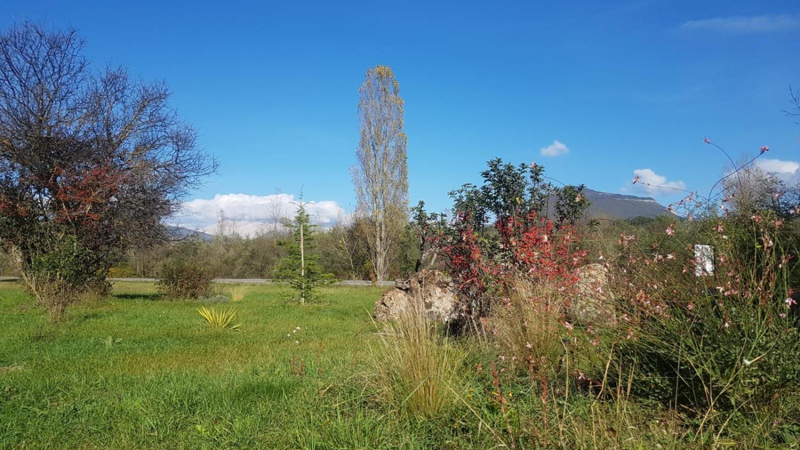 Les Du Saro Chabestan